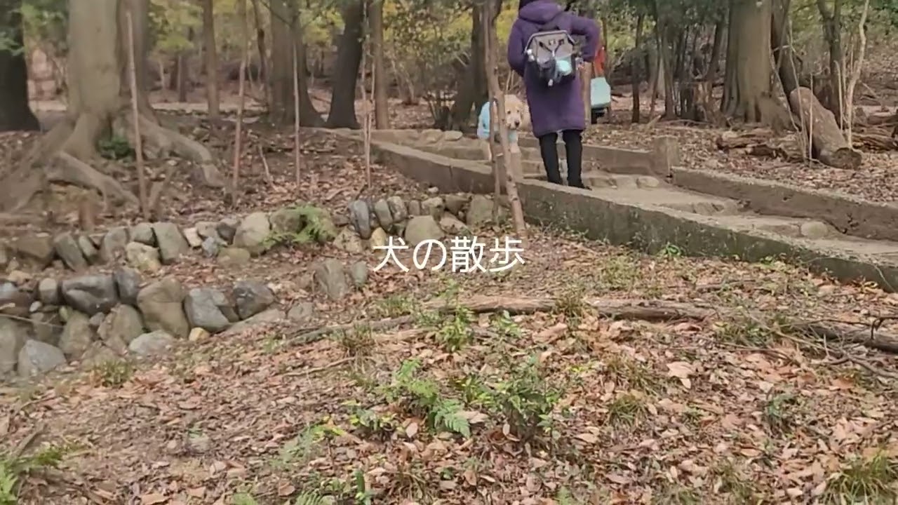 仏徳山、朝日山登山(宇治)
