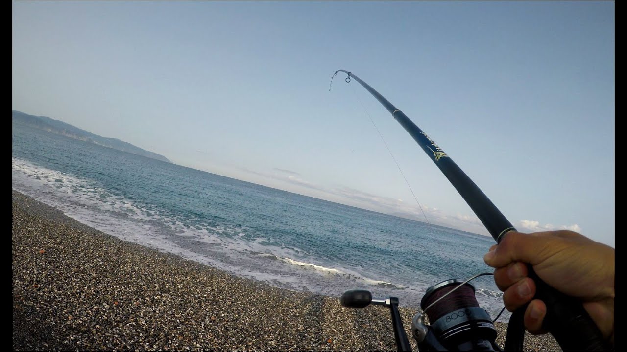 Mostri in canna surf casting!