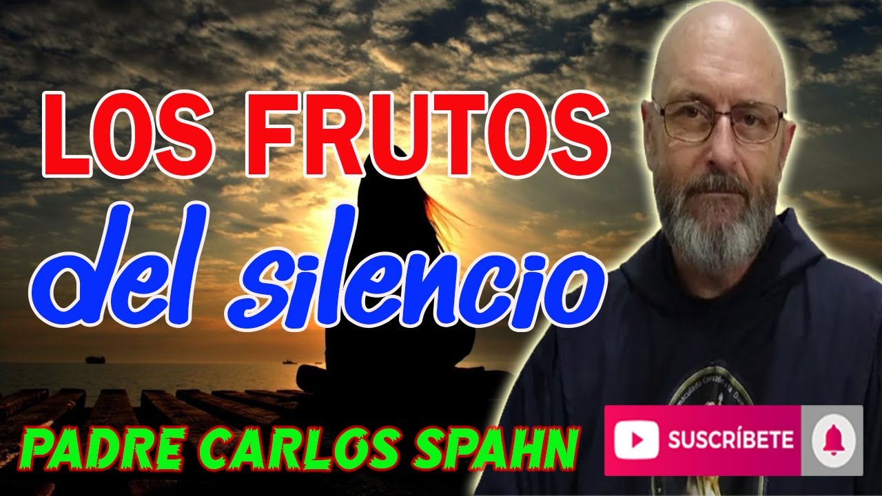⚠️LA IMPORTANCIA DEL SILENCIO⚠️ - Padre Carlos Spahn