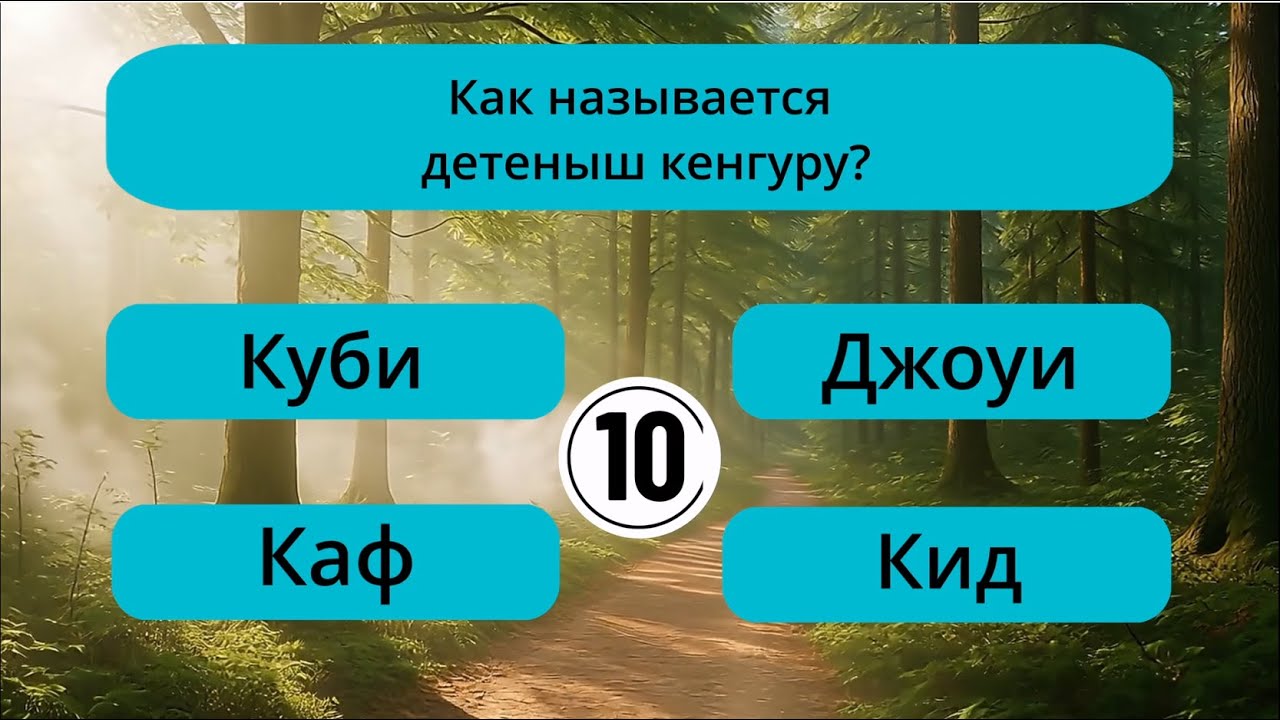 ЭРУДИЦИЯ, ЛОГИКА И ФАКТЫ — 25 ВОПРОСОВ! Тест на эрудицию