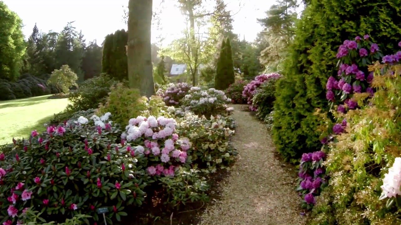 Aus Lust am Garten - Parklandschaft Ammerland