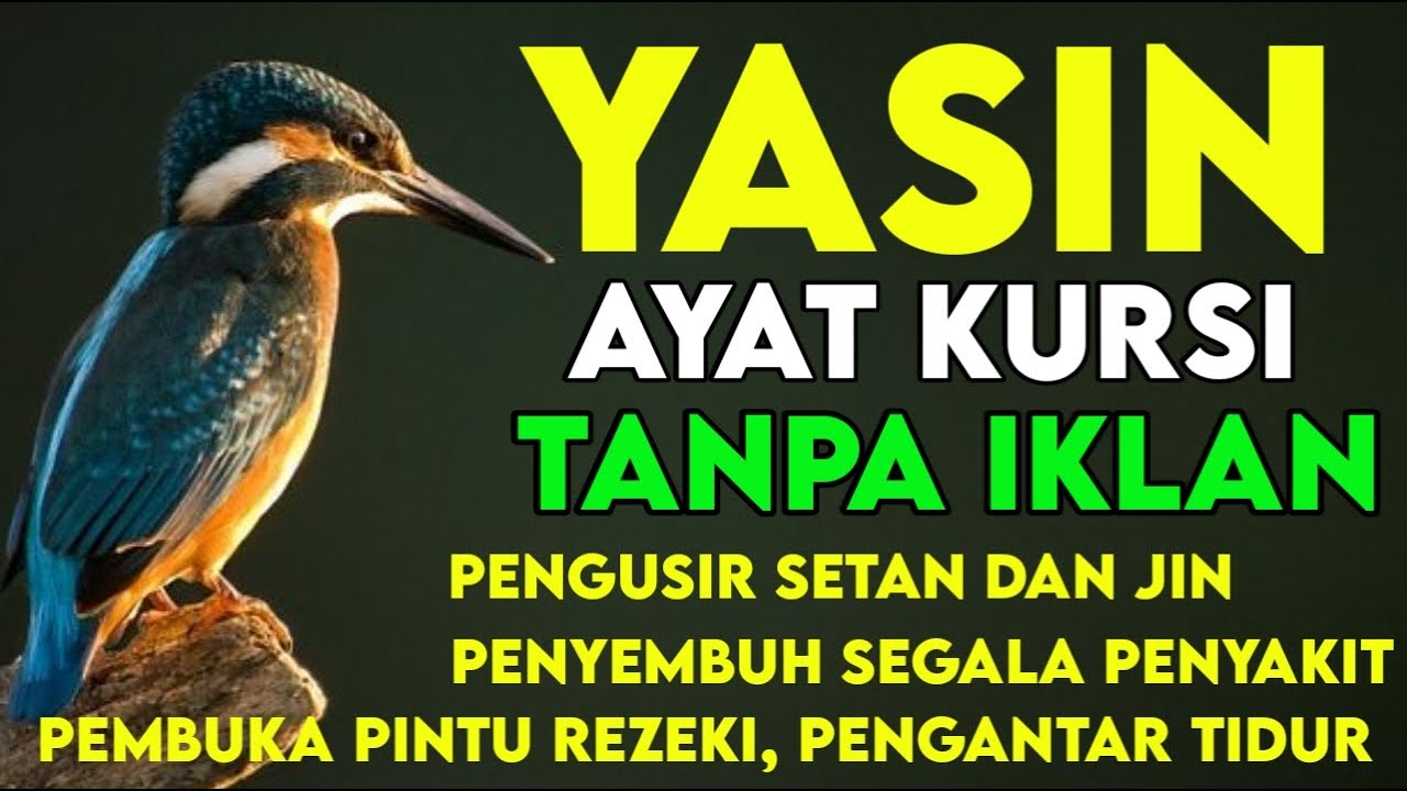 Yasin Ayat Kursi Merdu Tanpa Iklan | Doa Perlindungan &Pembuka Pintu Rezeki | Alaa aqel