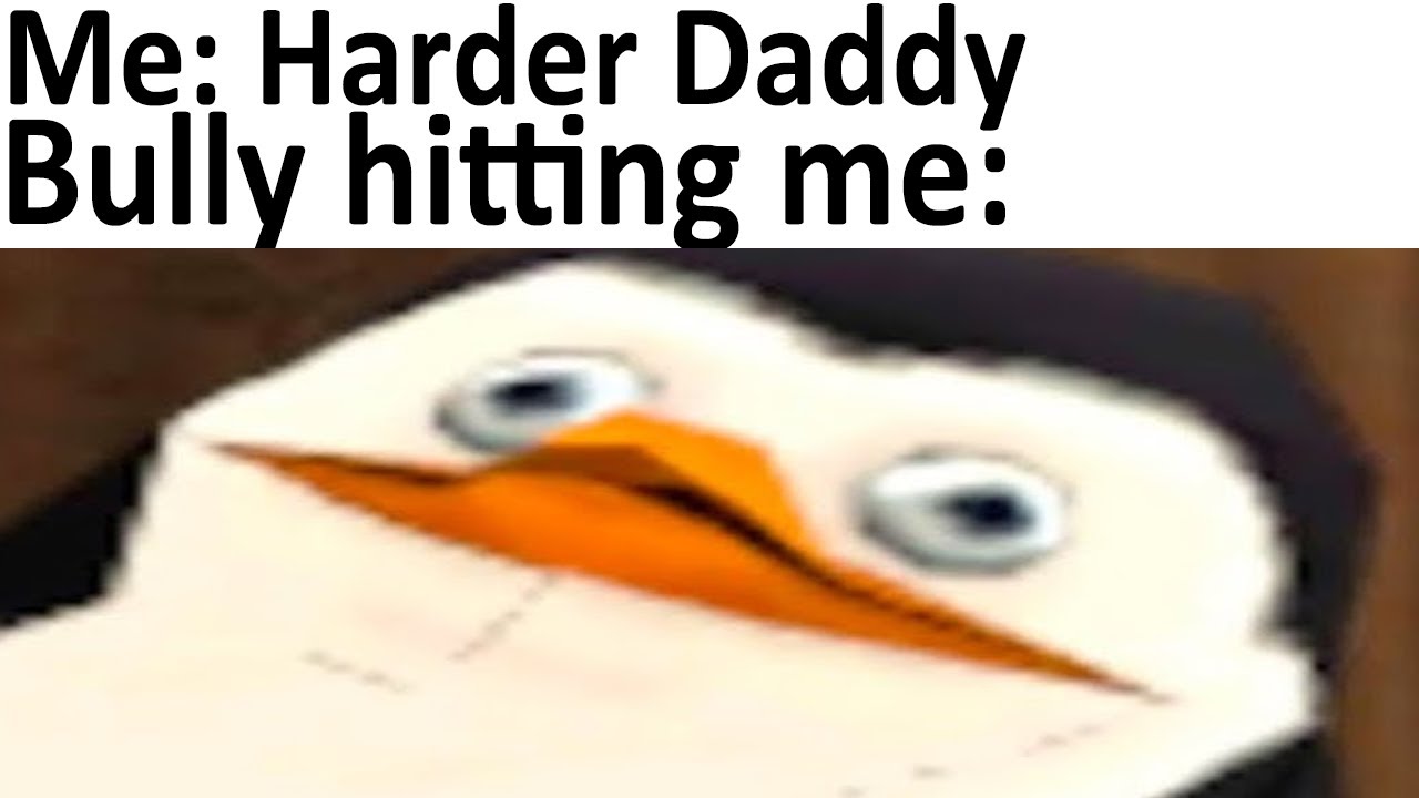 Daily Meme Supplies 263