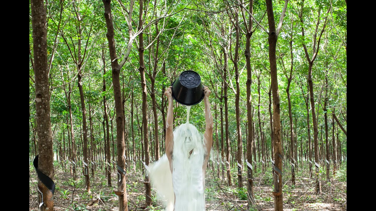 APT8 / Visit The 8th Asia Pacific Triennial of Contemporary Art