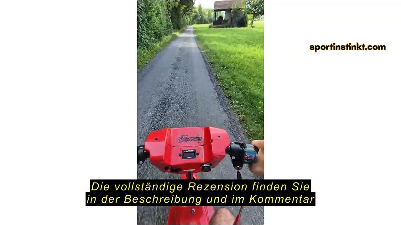 Produktbewertung RiToEasysports Bike Motor Controller Kit, 24V 1000W Fahrrad Brushed Motor Controlle