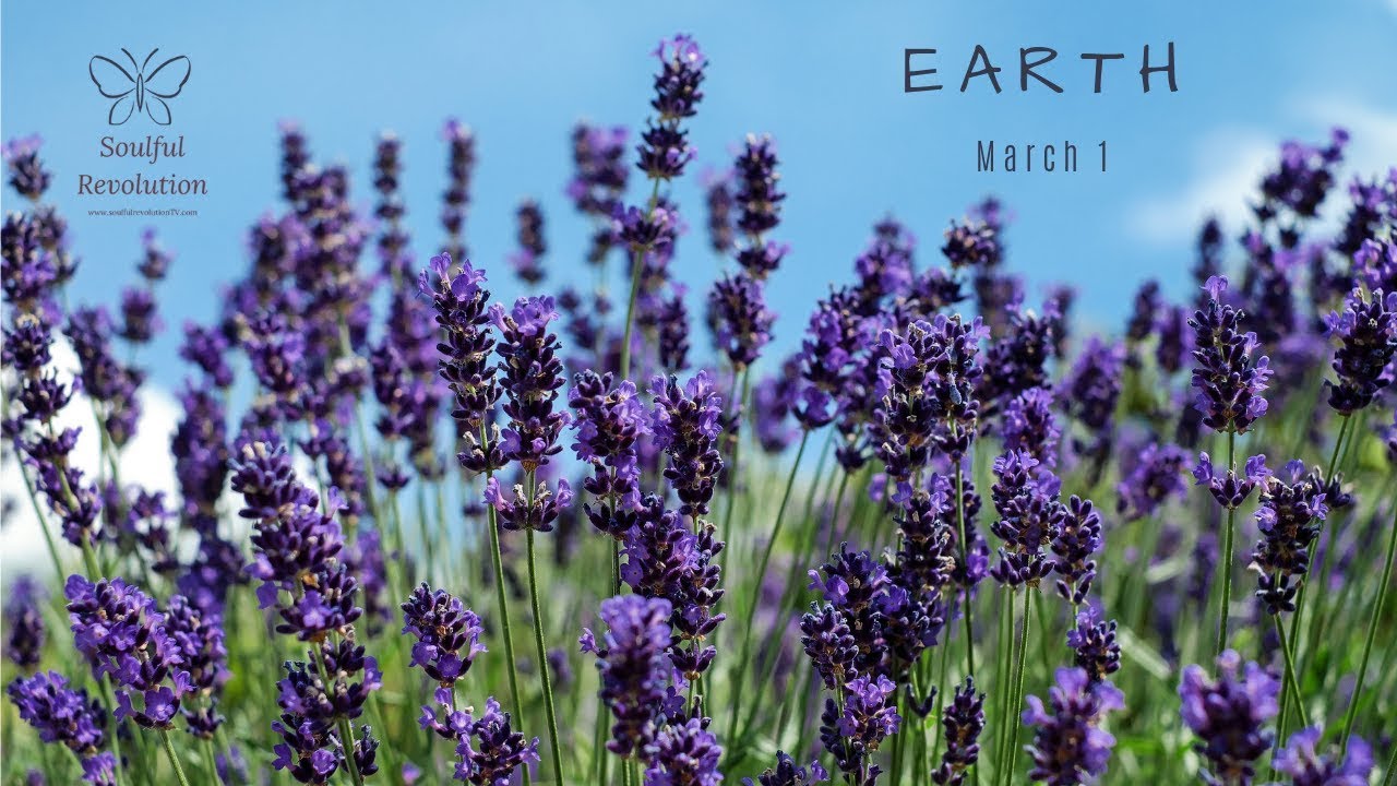 Free yourself, EARTH Sign March 1 Capricorn Taurus Virgo