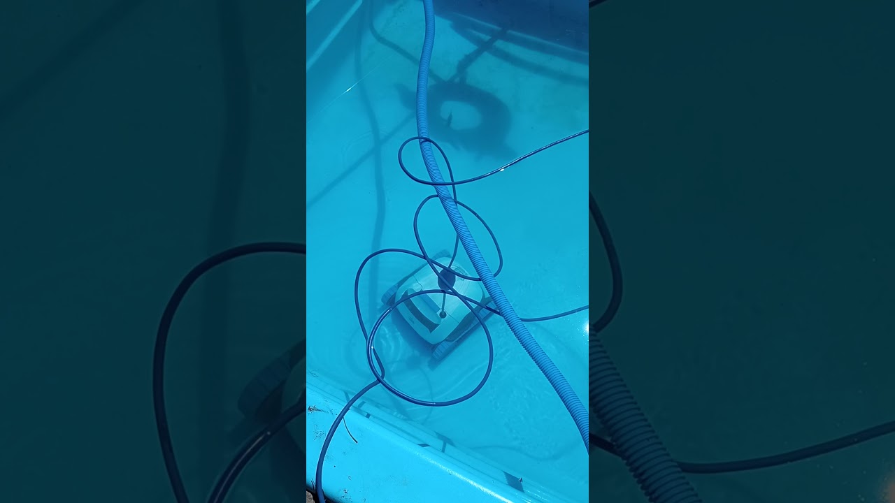 Dolphin S50 ¿lo compro? Si, cómpralo 🤣