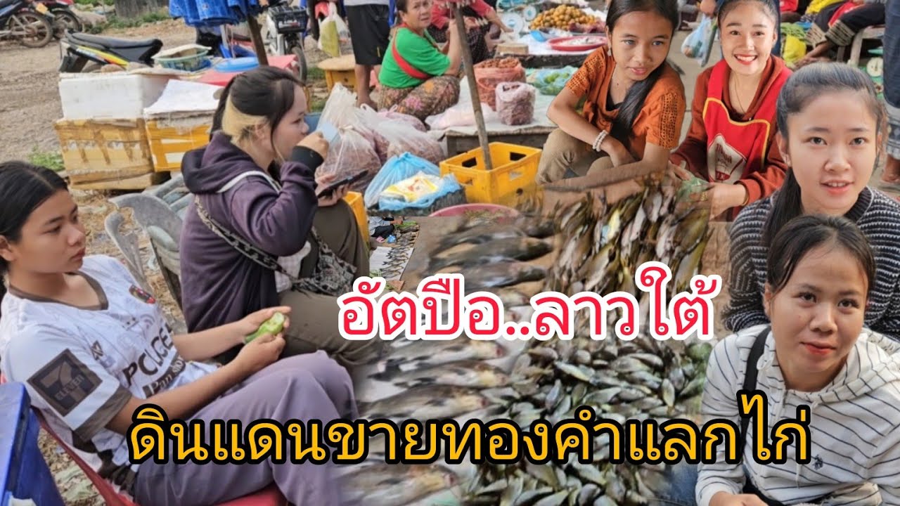 #เที่ยวลาวใต้ #บรรยากาศ ตลาดเช้า ดินแดนขายทองคำแลกไก่ #แขวงอัตปือ ลาวใต้ #สาวลาว #สปปลาว #ปลาแม่น้ำ