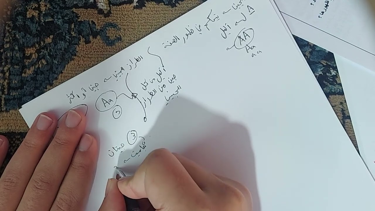 مراجعة ملف الوراثة الجزء الاول