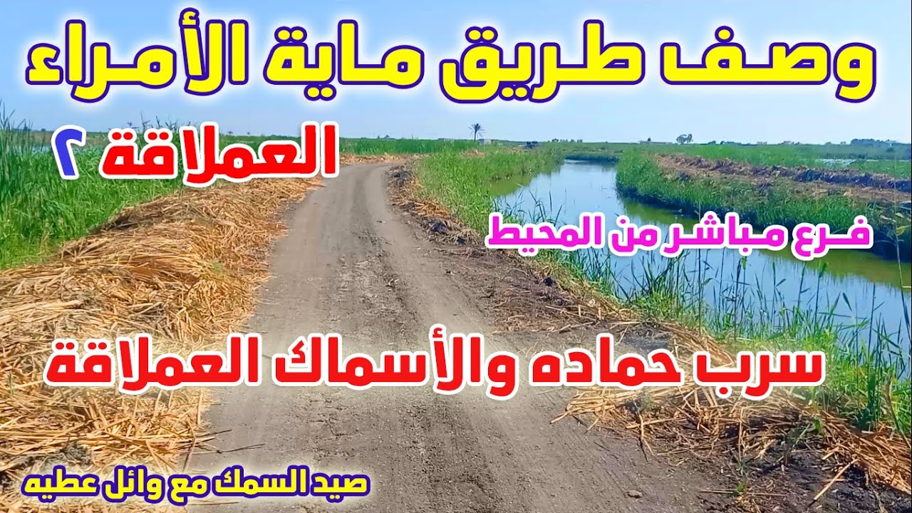 #وصف_طريق_ماية_الأمراء_العملاقة فى منطقة #سرب_حمادة #fishing