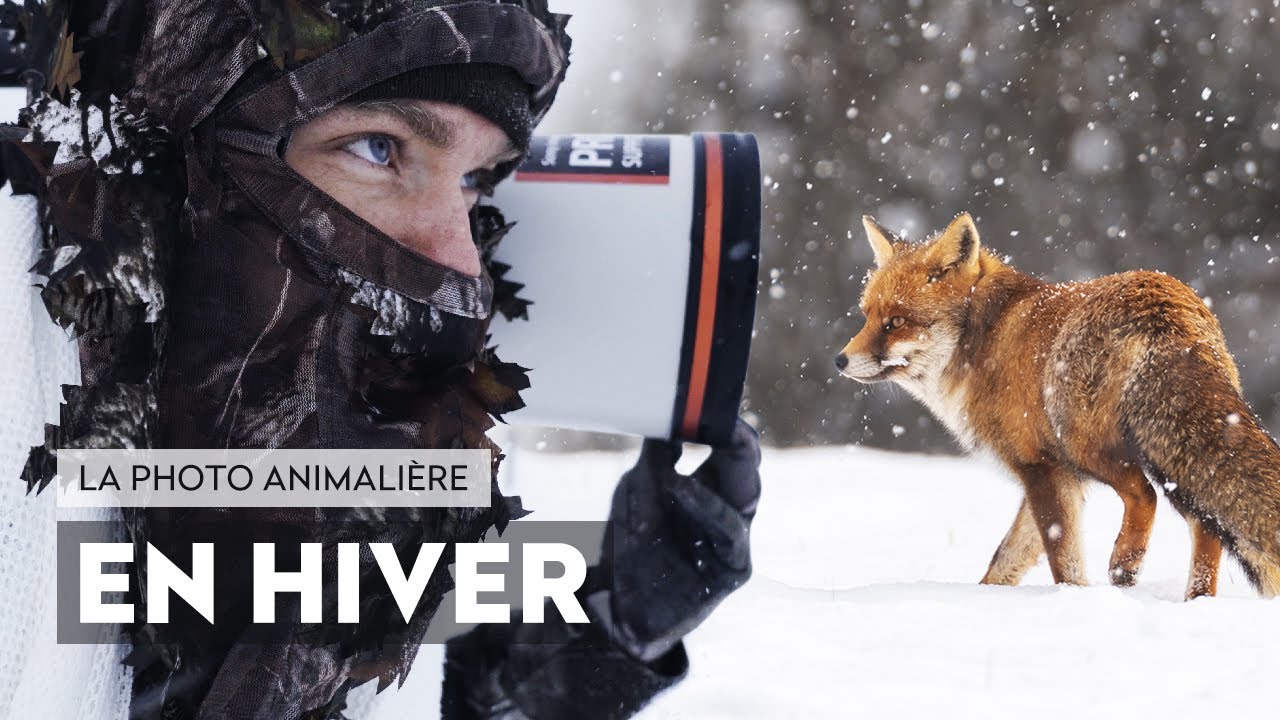 Ma plus belle rencontre sous la neige - ft. Marc Jardot