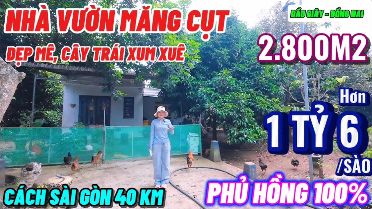 Nhà đất đồng nai,Nhà vườn trái cây đẹp ngay khu trung tâm mặt tiền đường nhựa nhìn thích mê 
