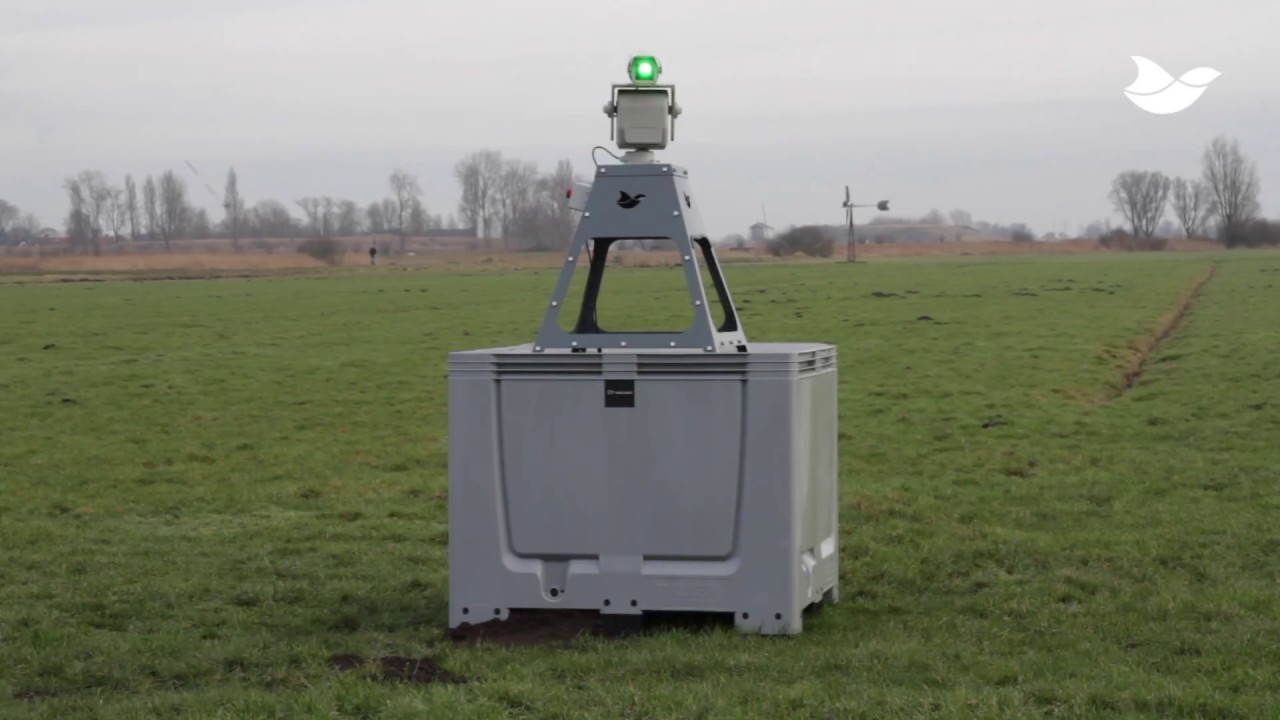 Automatic laser repels geese at dairy farm