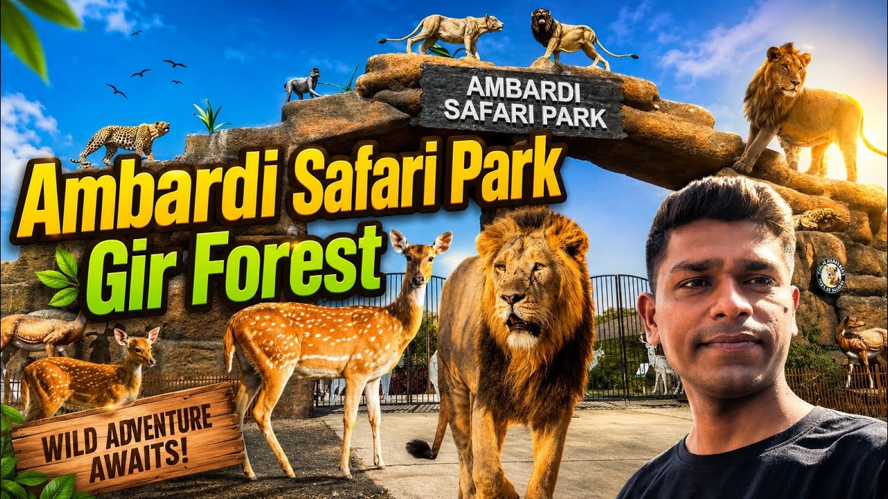 Ambardi  Lion Safari Park Dhari ( Gujarat ) | Complete Information About this Safari In This Video |