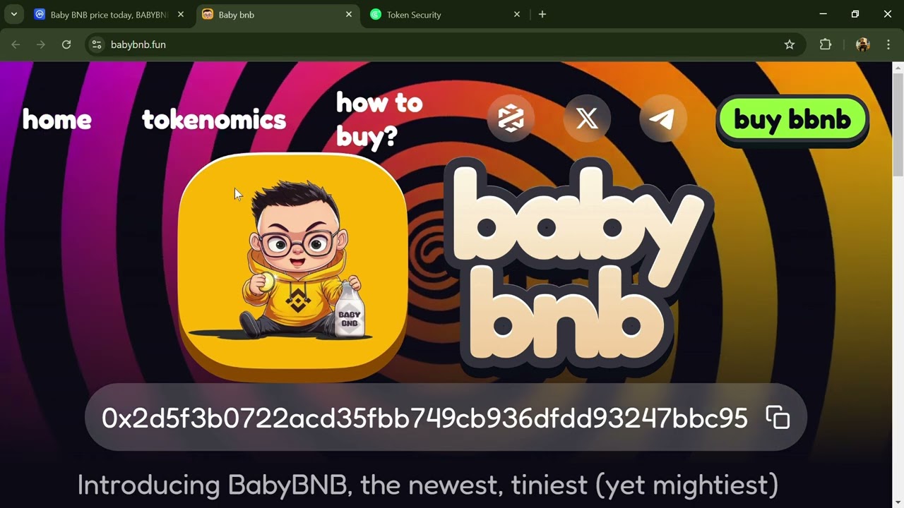 Is Baby BNB (BABYBNB) token Good Or Not | Review About BABYBNB Token