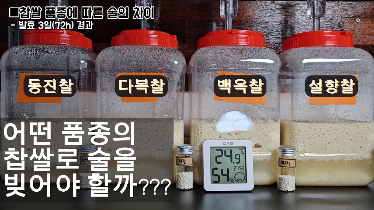 찹쌀 품종에 따른 술 맛의 차이(단양주,25℃ 10일 발효, 쌀:물=1:1)