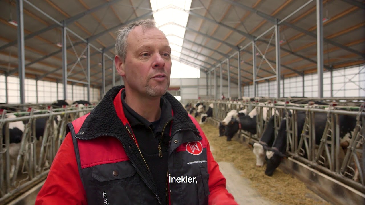 Lely Vector - Müşteri Deneyimi, Hollanda