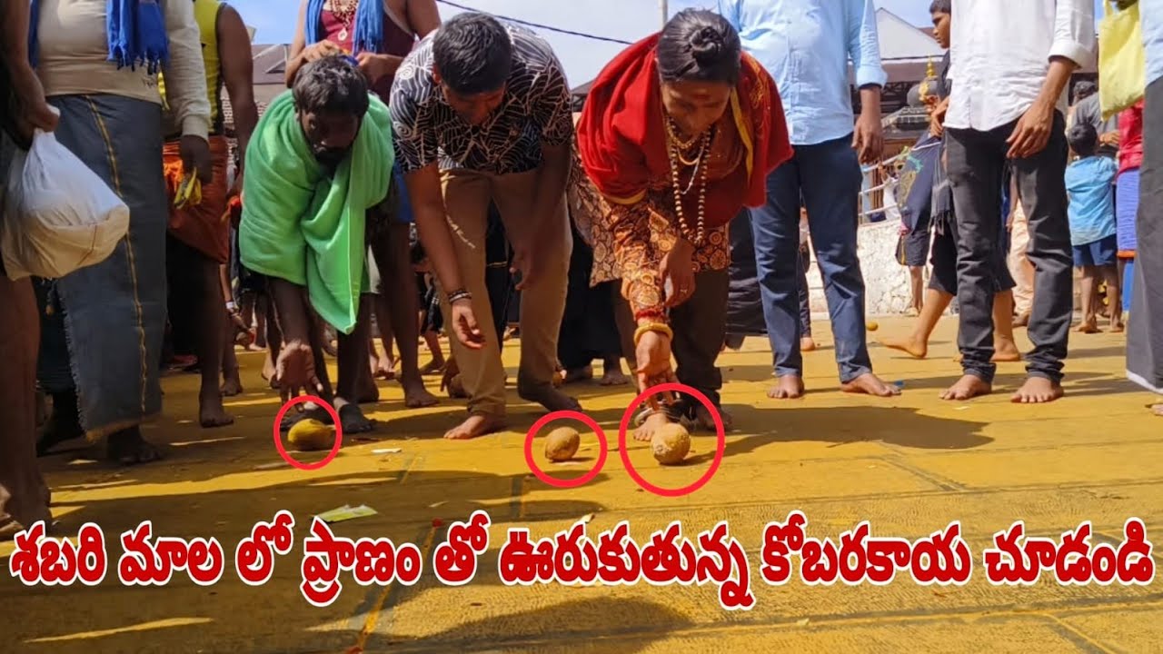 రాకేష్ బోనం అన్న శబరిమలయంలో ప్రాణముతో ఉరుకుతున్న కొబ్బరికాయల్ని చూడండి😱🙏| ayyappa Rakesh Bonam Anna