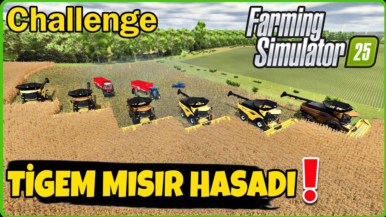 DEVASA MISIR TARLASINI 6 TANE NEW HOLLAND CR11 BİÇERDÖVER İLE HASATLADIK ●  FS25 TİGEM 2