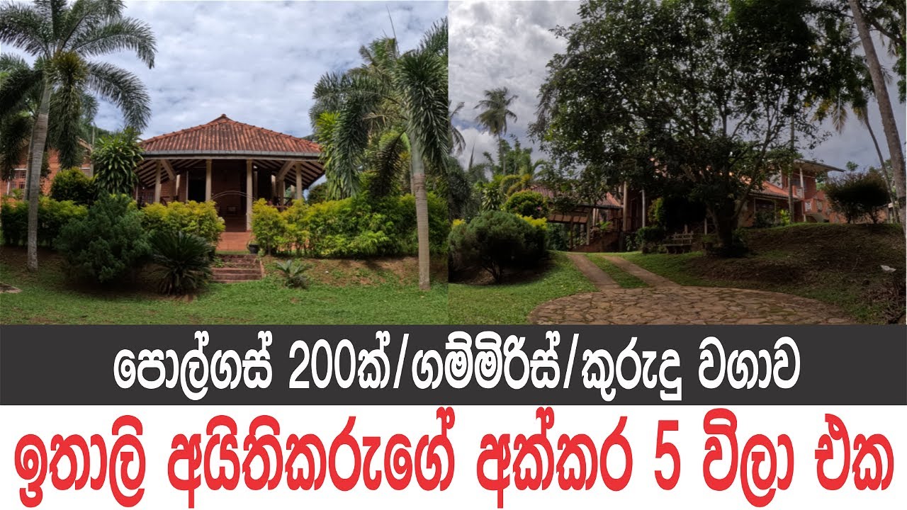 අක්කර 5ක, පොල්ගස් 200ක්, කුරුදු වගාව අක්කර දෙකහමාරකම, කජුගස්, ගම්මිරිස්, අක්කර 5 වටේම තේක්කගස්