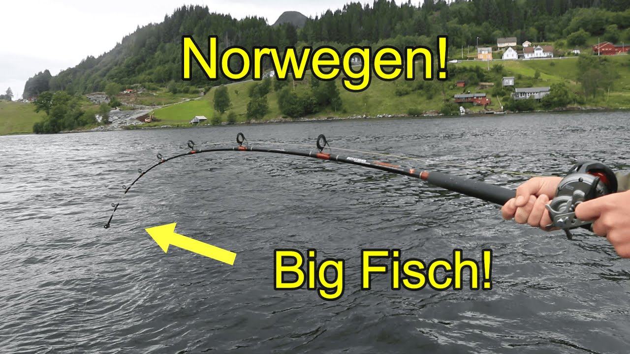 Angeln in Norwegen. So etwas habe ich noch nie erlebt!