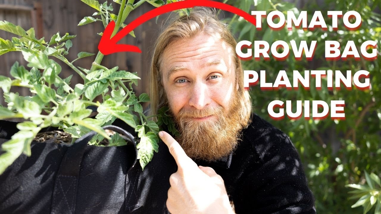 How to Plant and Grow Tomatoes in Smart Pots (Fabric Grow Bags)