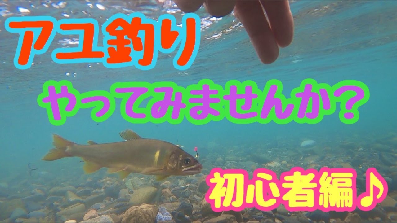 【鮎釣り】初心者編！鮎釣りやってみませんか？