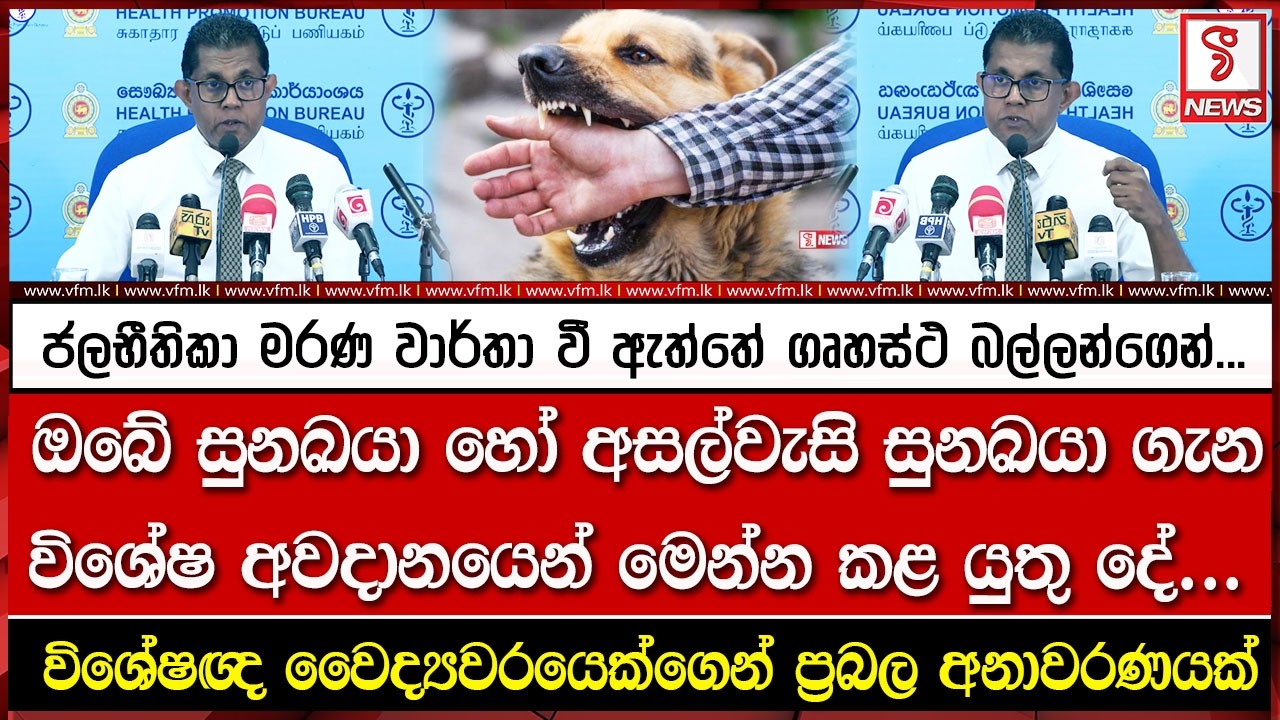 ජලභීතිකා මරණ වාර්තා වී ඇත්තේ ගෘහස්ථ බල්ලන්ගෙන්...