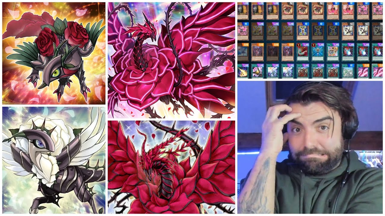 Black Rose Dragon Deck - Nuke The Meta Into Master Rank! [Yu-Gi-Oh! Master Duel: Season 33]