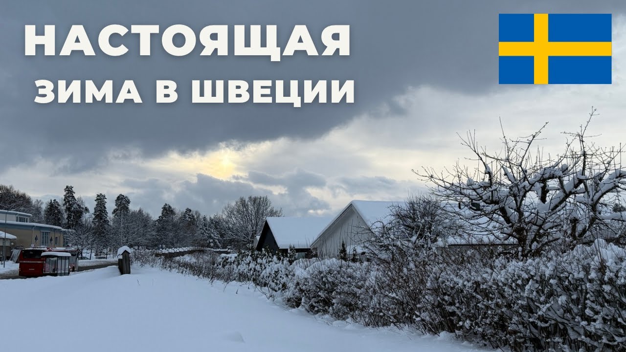 ВОТ ТАК ЖИВУТ ЗИМОЙ В ШВЕЦИИ | ОРАНЖЕРЕЯ | МОЙ ДЕНЬ РОЖДЕНИЯ #snow #sweden #södertälje 