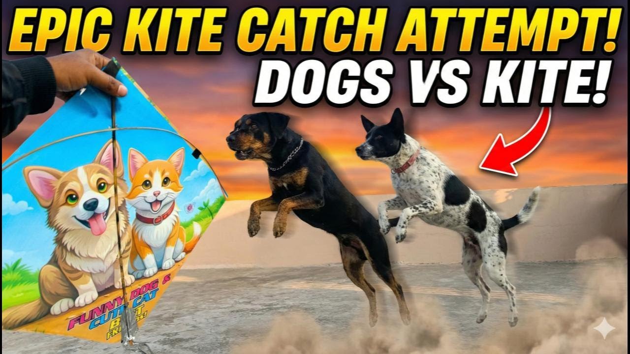 Hamare Dogs ban gaye 