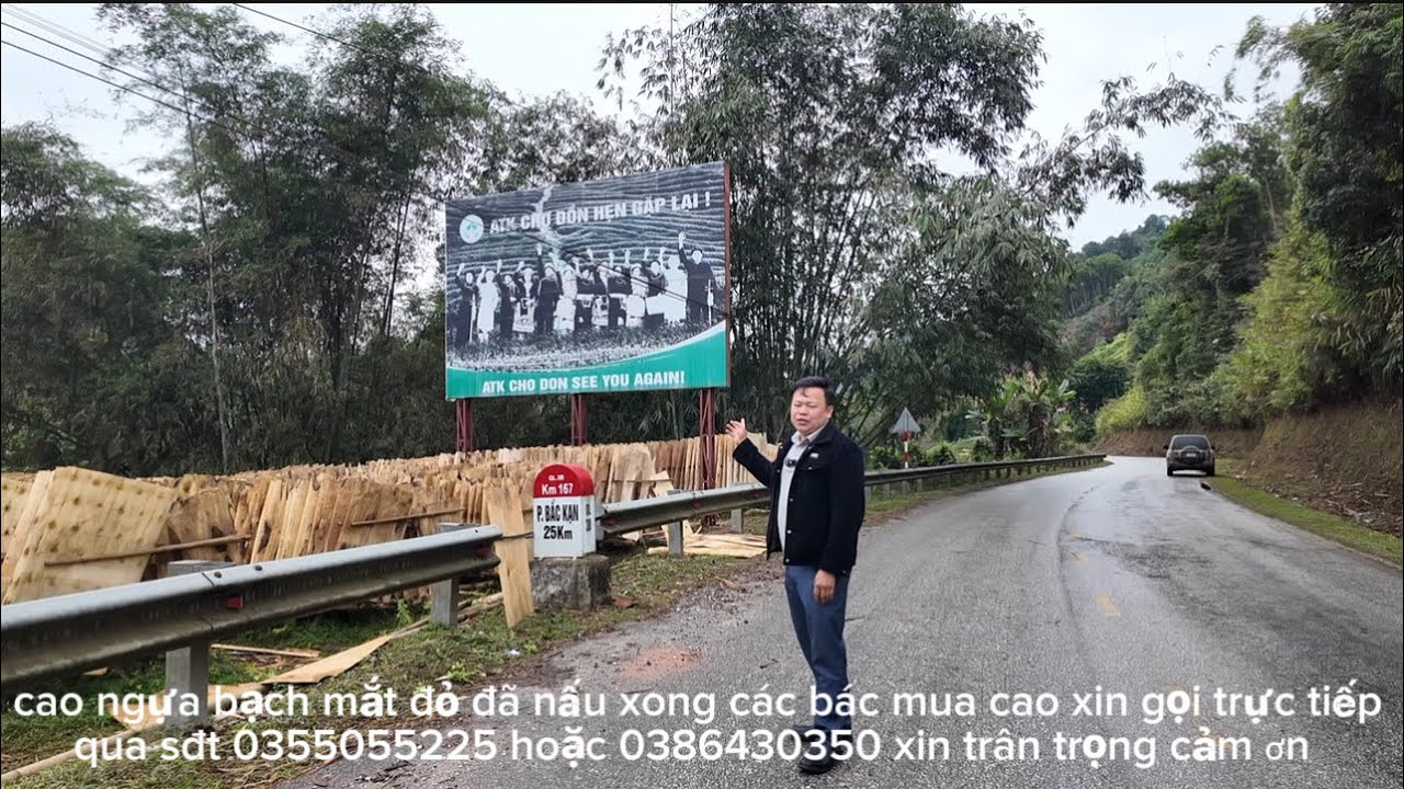 vượt hơn 200km sang xem mô hình nuôi ngựa du lịch.tuyển chọn được siêu phẩm ngựa bạch mắt đỏ #gaiban