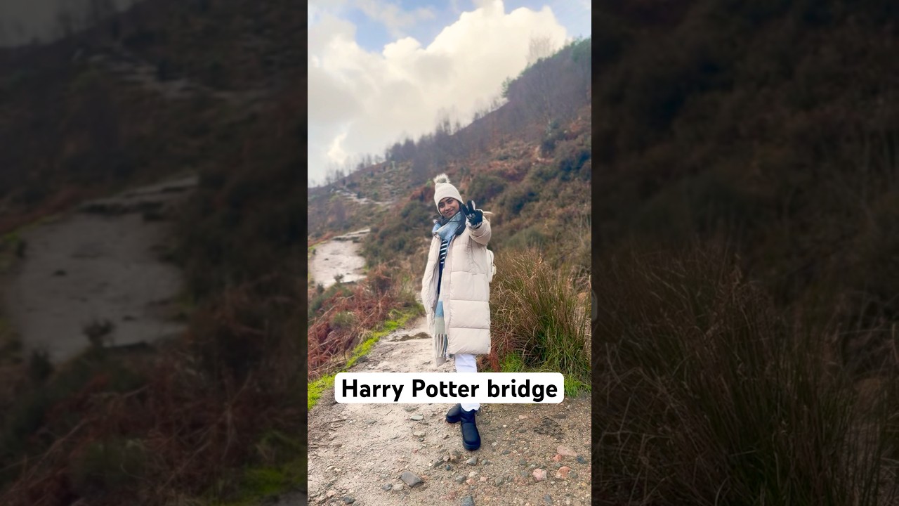 Train to Hogwarts🚂 