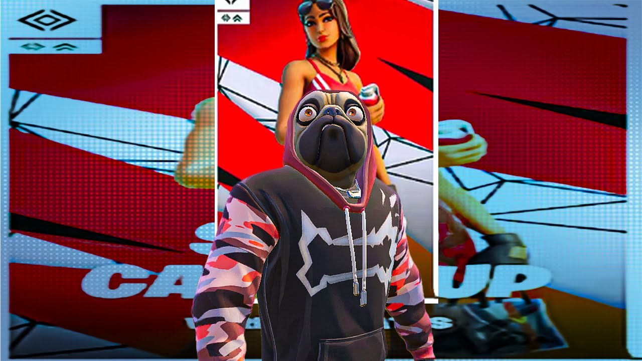 Dogninja Plays Fortnite Solo Cash Cup...