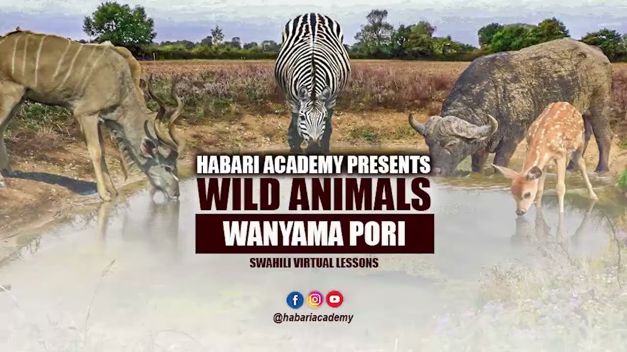Wild animals in Swahili language