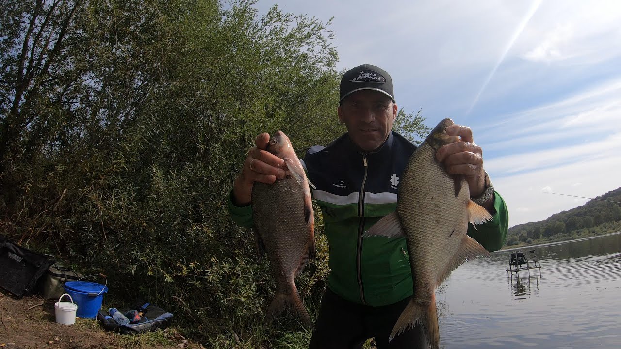 Street fishingas feederiu Nemune, Kaunas 2024 09 01. Žvejų klubo „Bream Bandits“ video reportažai