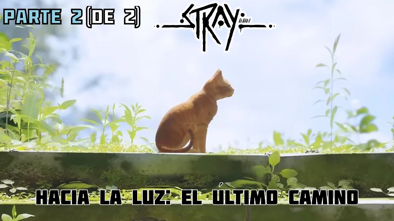 STRAY - Hacia la luz: El último camino - Película (Parte 2 de 2)