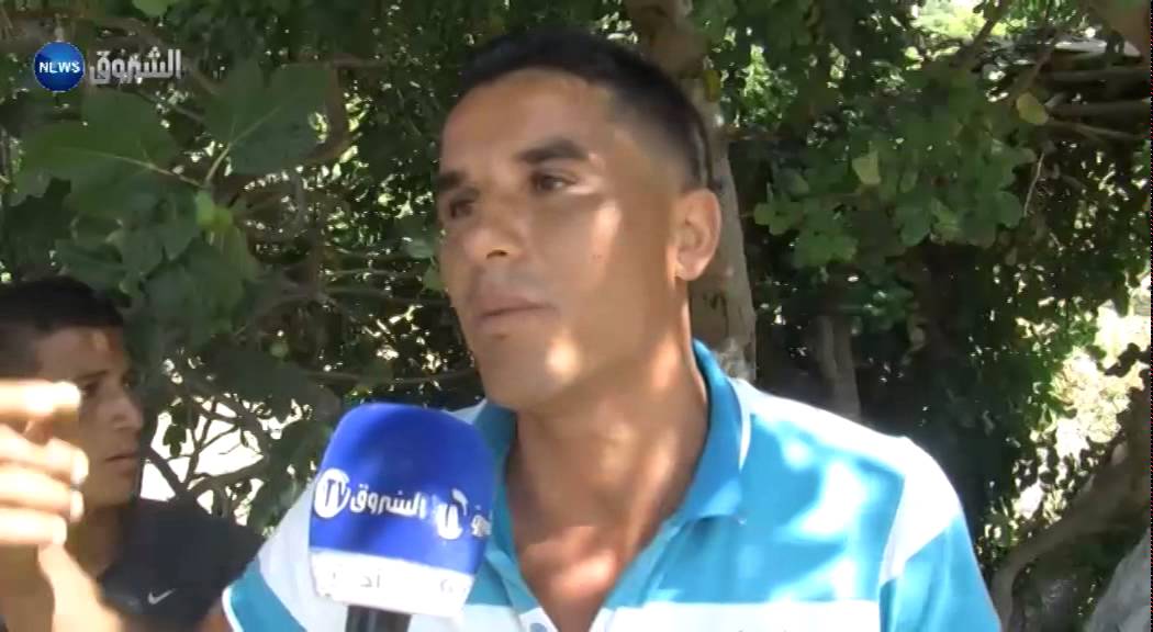 الشلف / زراعة التين ببني حواء تنتظر الدعم بإعادة بعث مصنع المربي