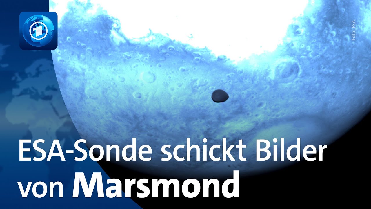 ESA-Raumsonde HERA fliegt an Mars und dessen Mond Deimos vorbei
