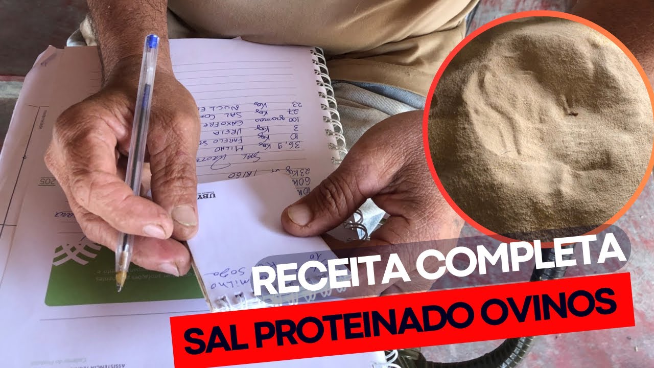 MELHOR RECEITA DE SAL PROTEINADO PARA OVINOS