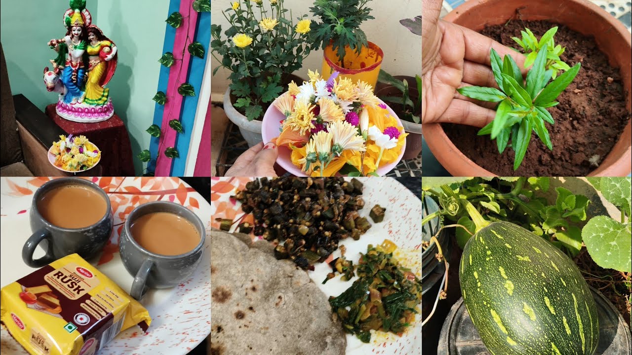 today morning vlog #ఇవాళ పనులు చాలా హడావిడిగా అయ్యాయి#