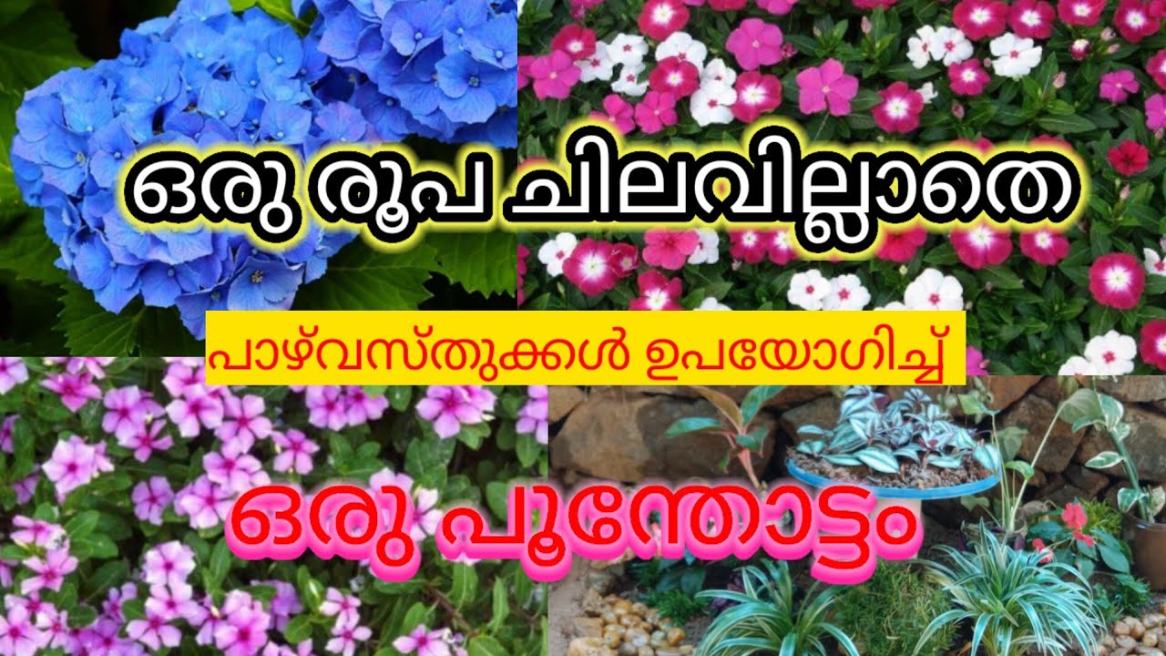 ചെറിയൊരു പൂന്തോട്ടം ഉണ്ടാക്കി |  Garden Makeover | Kerala Home Garden Ideas | DIY Garden 