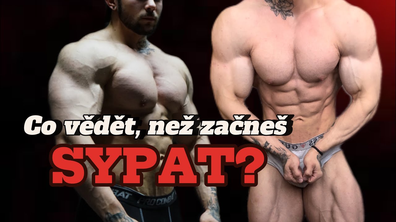 Z&aacute;klady před Syp&aacute;n&iacute;m ?