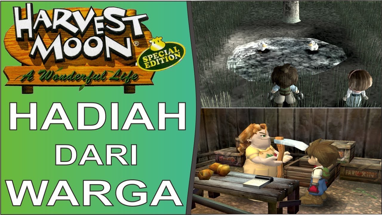 Hadiah Tahun Kedua - Harvest Moon : A Wonderful Life Special Edition