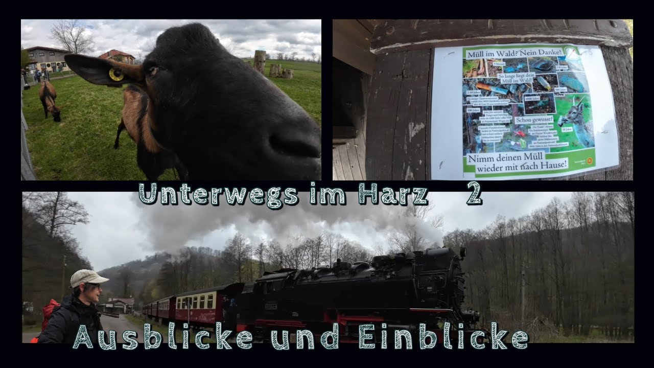 Durch den Harz - Teil 2- Täler, Tiere, sTempelstellen