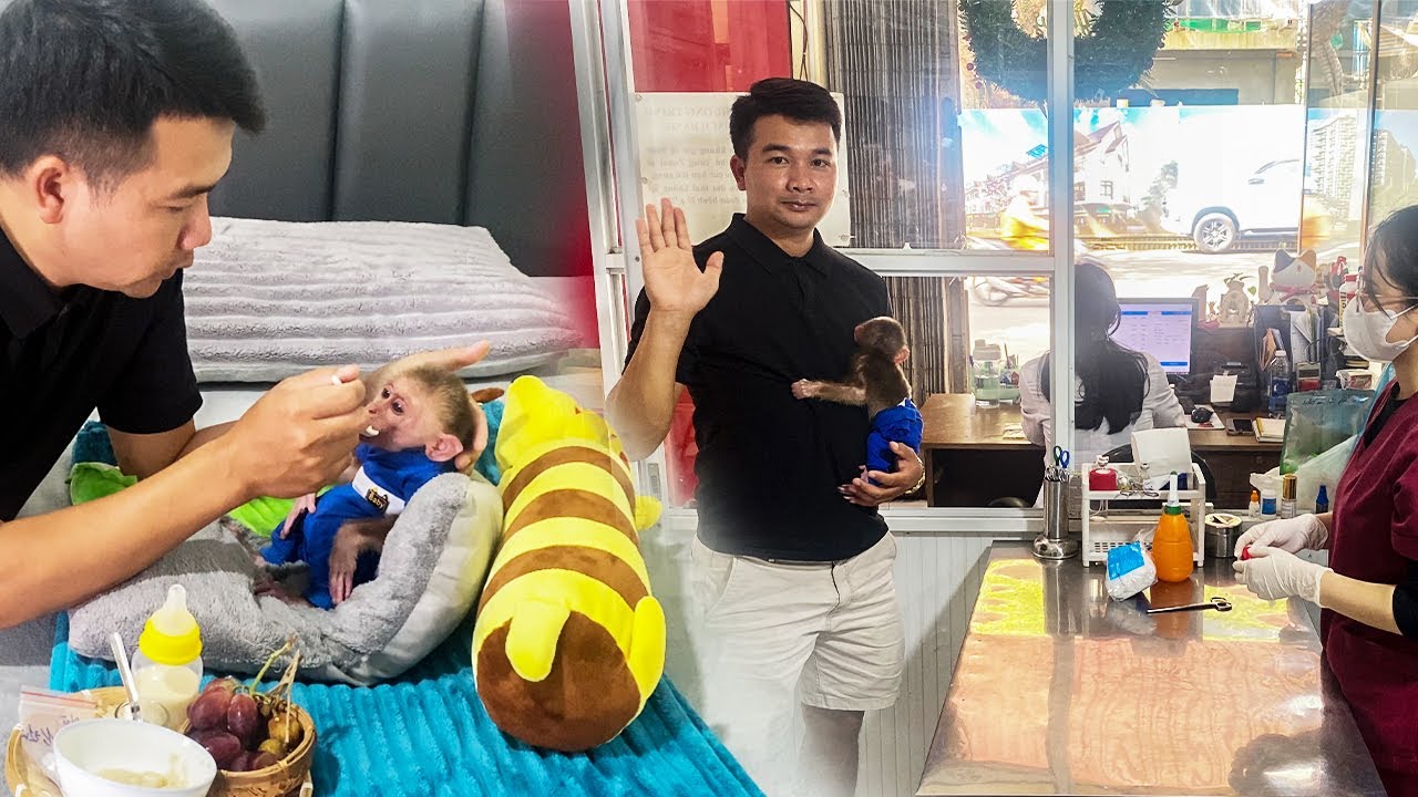 JOBI Stays In Hospital &ndash; Dad H&Ugrave;NG Gives Special Care 🐒❤️