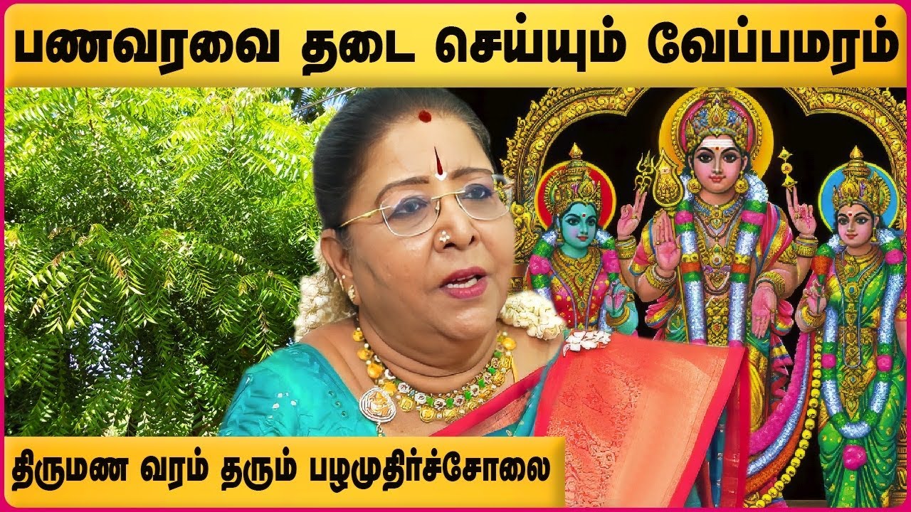 வீட்டுவாசலில் வேப்பமரம் வளர வளர கடனும் வளருமாம்..! | SaravanaDevi Interview | Vastu Shastra For Home