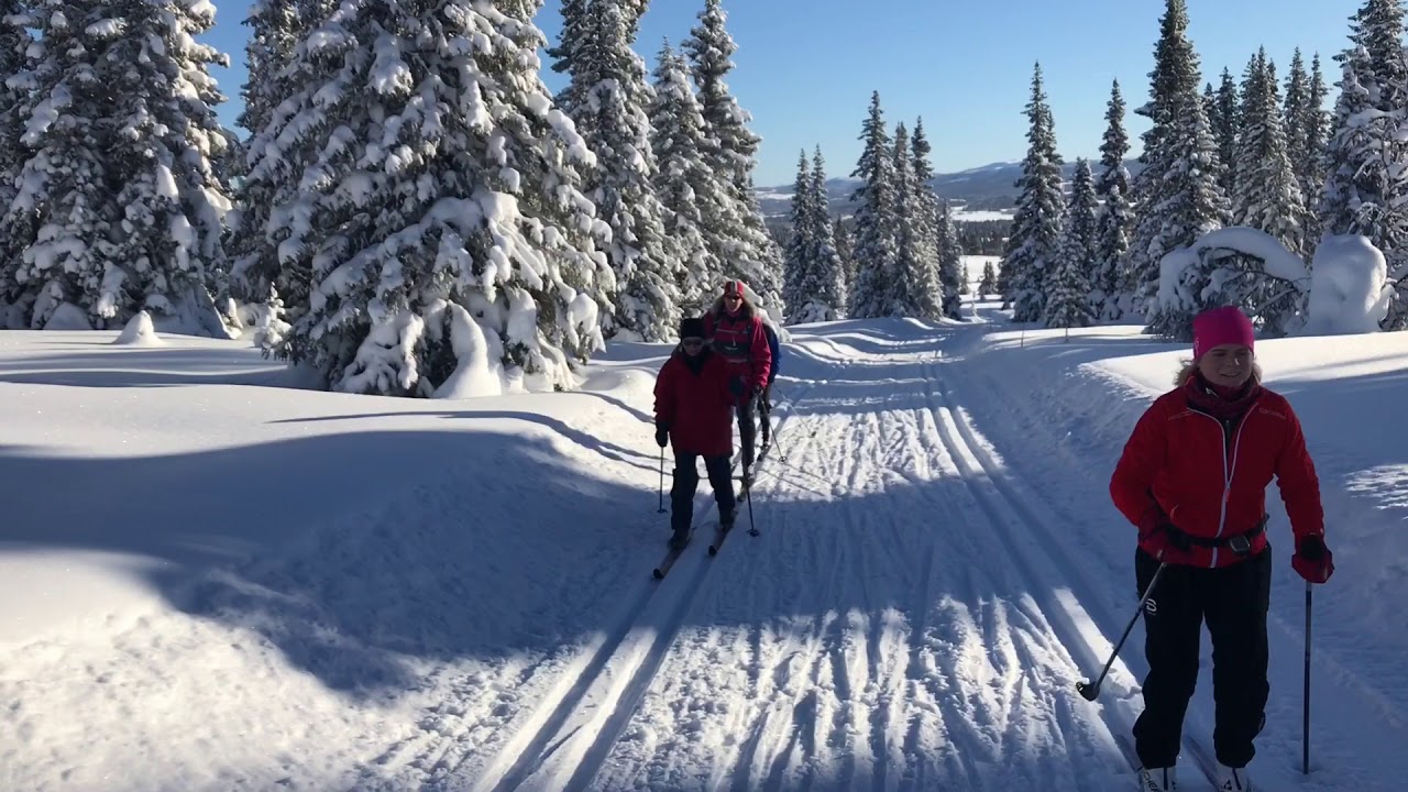 Topvejr til langrend på Golsfjellet