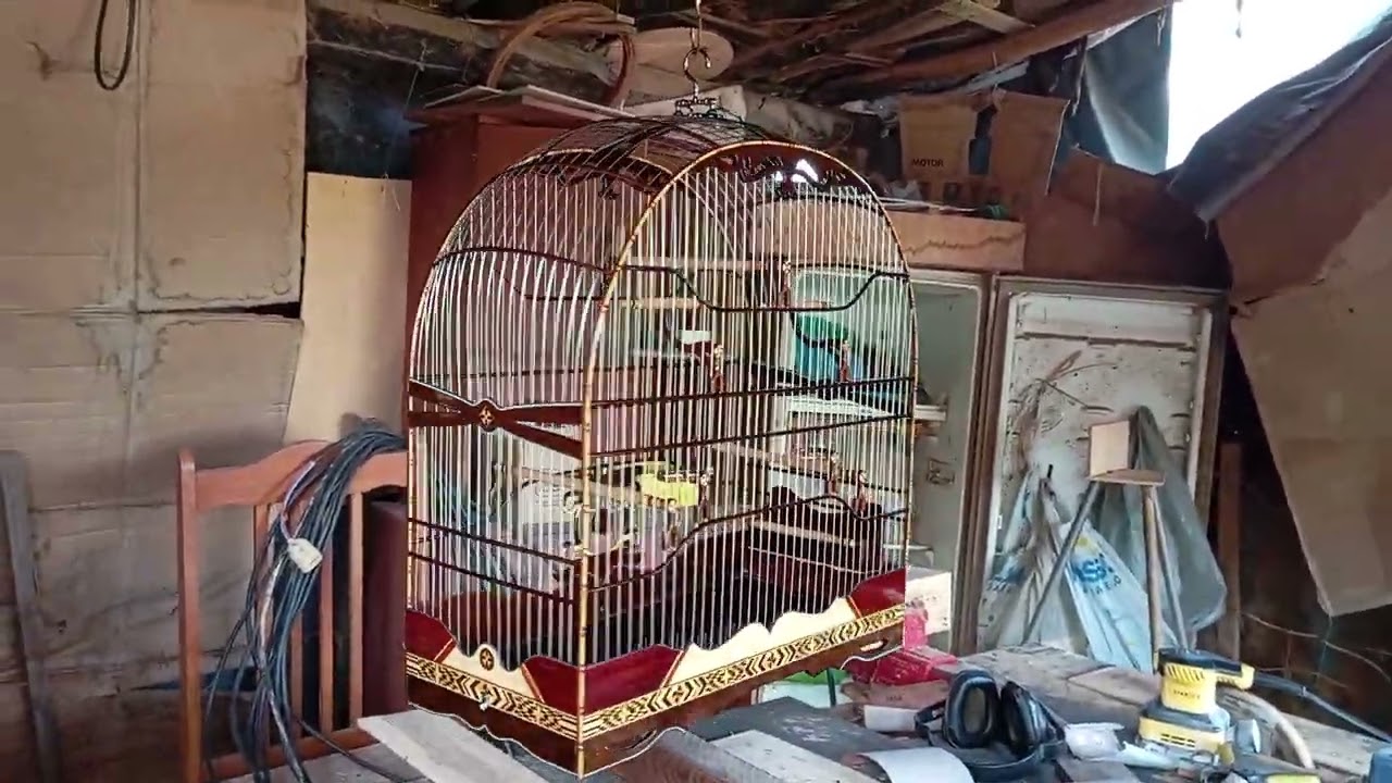 gaiola numero 6 pra curió