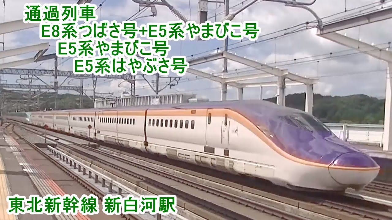 東北新幹線 | 新白河駅 | 通過列車 | E8系つばさ号+E5系やまびこ号 | E5系やまびこ号 | E5系はやぶさ号